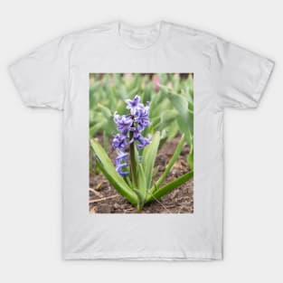 Purple Rain - Spring 2016 T-Shirt